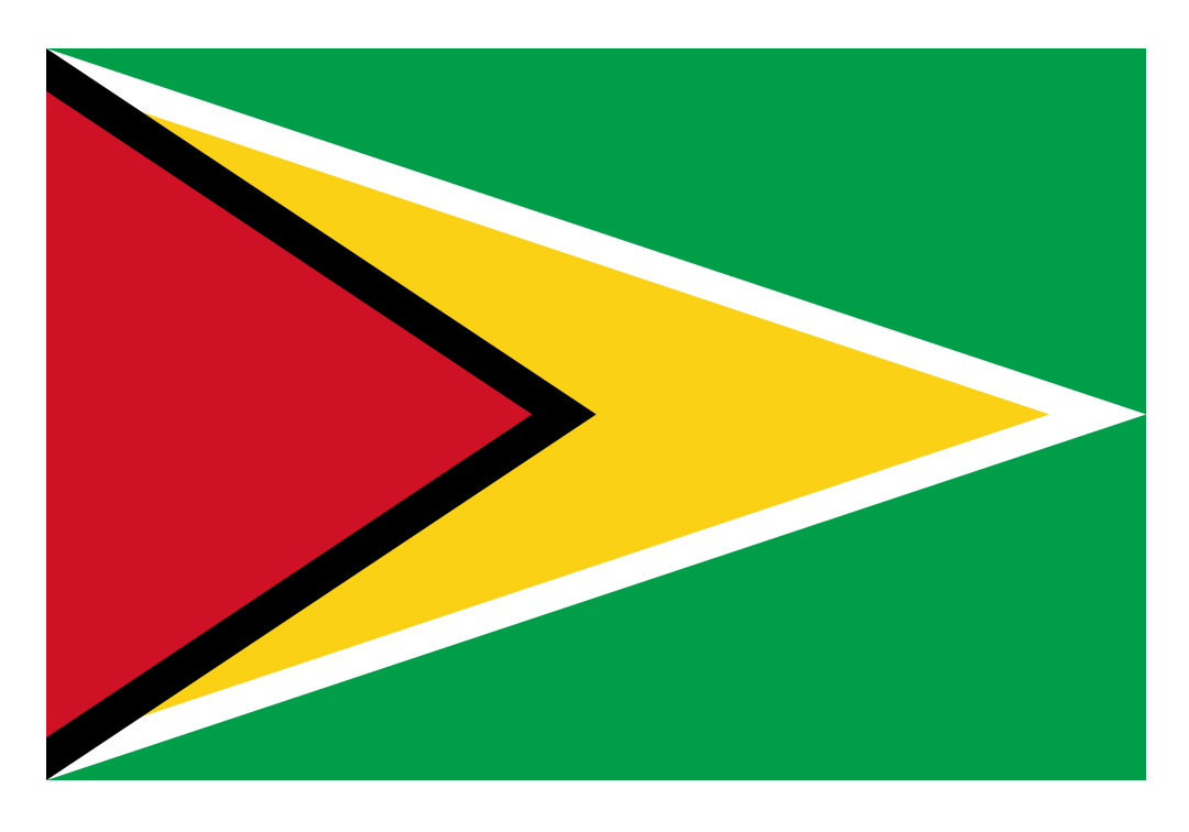 Guyana Flag, Guyana Flag png, Guyana Flag png transparent image, Guyana Flag png full hd images download